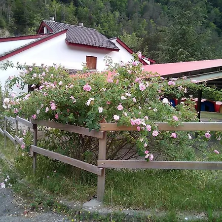 El Chate Affittacamere Sarvisé