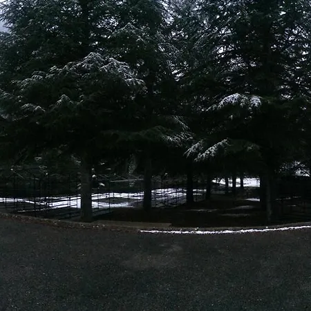 El Chate 3* Sarvisé