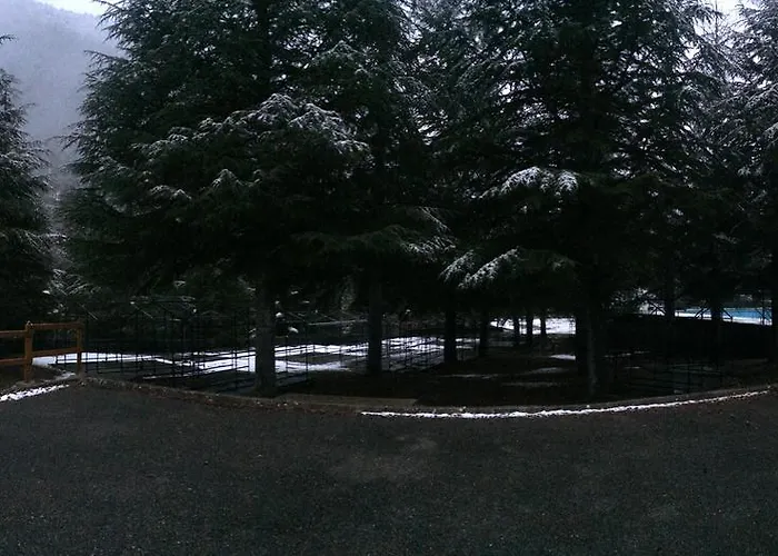 El Chate 3* Sarvisé