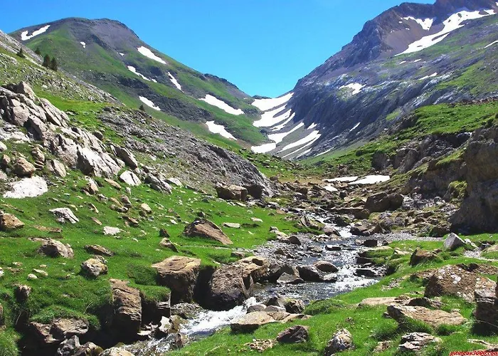 El Chate Pensión Sarvisé